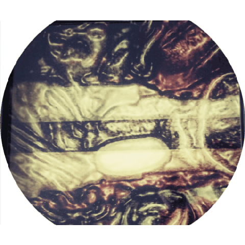 5ef29990-9549-4618-aedf-f88e331fd876